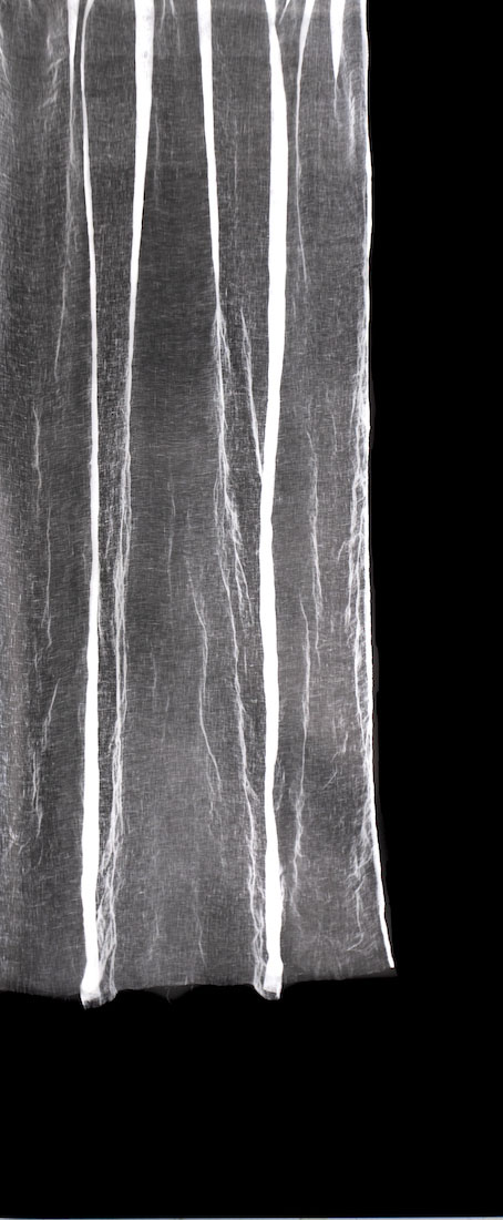 Amanda Williams, Untitled Phytogram (linen) II, 2023