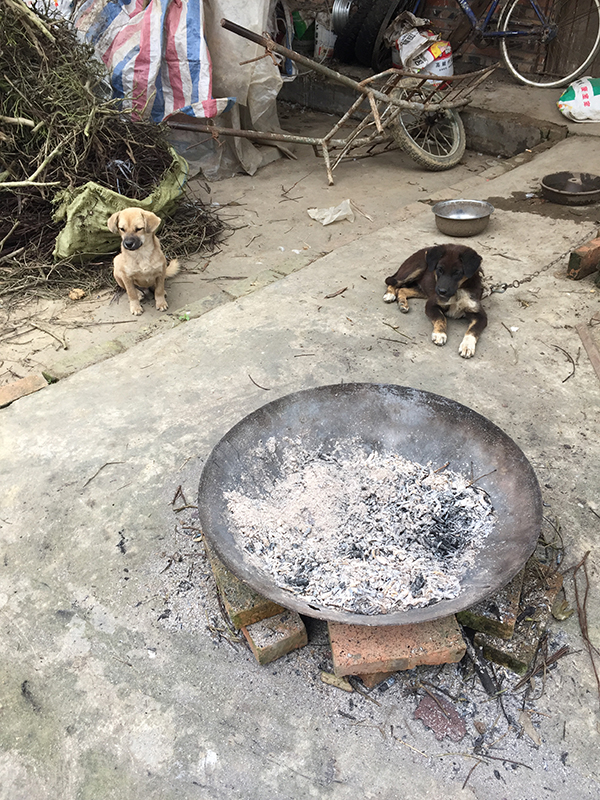 Burning green tea for glaze making - Sichuan Province, China