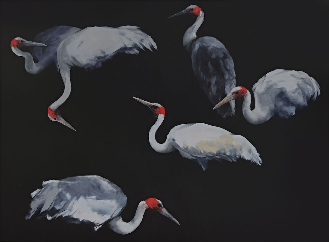 Nigel Milsom, Judo-House part 10 (plain crazy), 2023