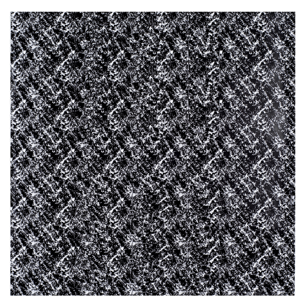 Archie Moore, Now You Are A..., 2006