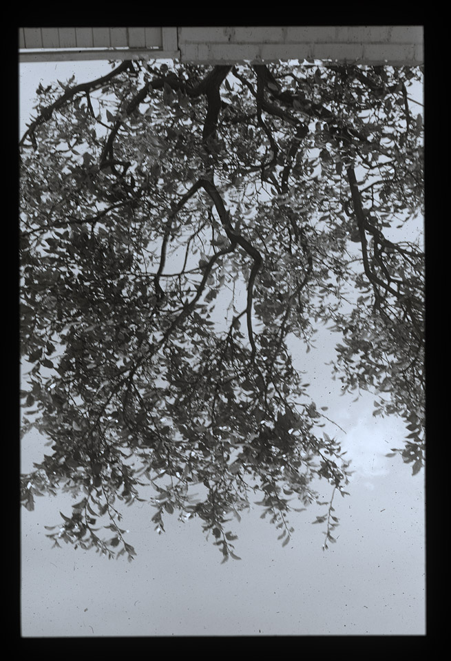 Gunter Christmann, SYDNEY - 12/80, 1974