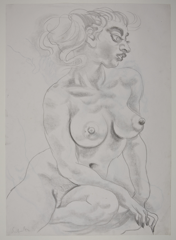 Tim Schultz, untitled, 1995