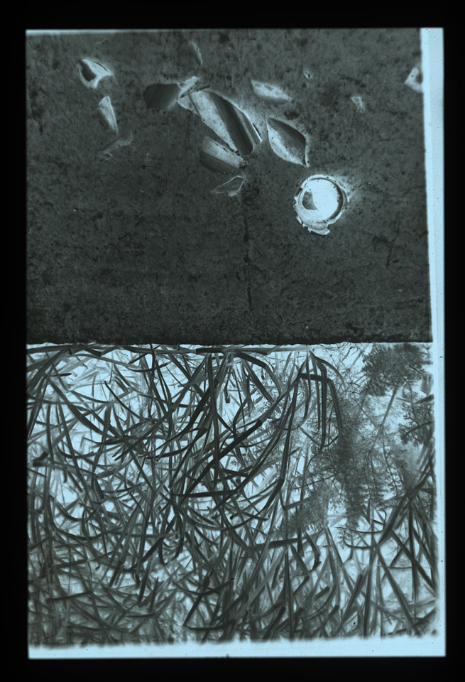 Gunter Christmann, 50/50 - 4/80, 1974