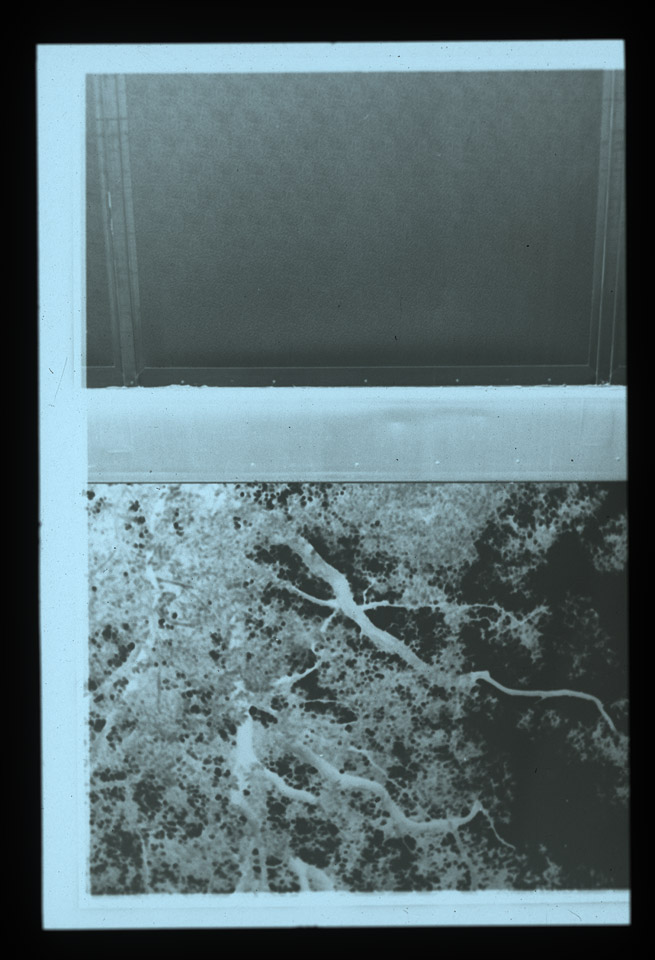 Gunter Christmann, 50/50 - 38/80, 1974