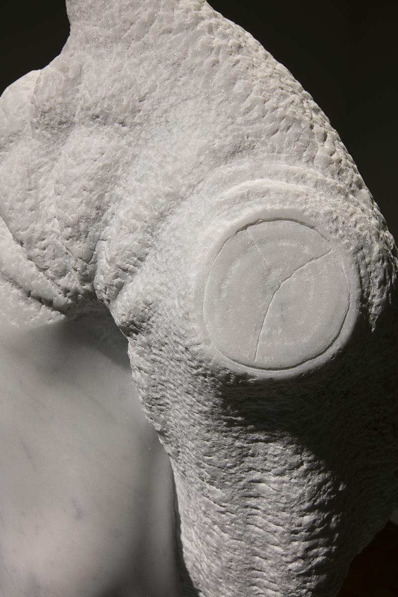 Stephen Ralph, Stardust (stump end grain detail)