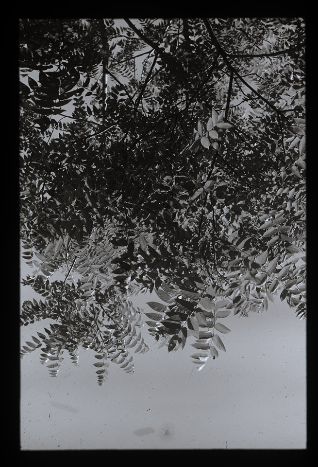 Gunter Christmann, SYDNEY - 42/80, 1974