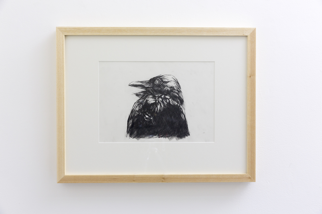 Nigel Milsom, Judo house part 6 (the white bird), 2016