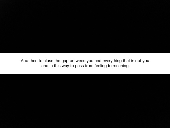 Agatha Gothe-Snape, 35. BAD NUGHES, 2013 AGS.ppsx, 2013