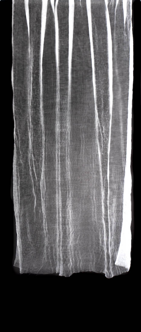 Amanda Williams, Untitled Photogram (linen) III, 2023