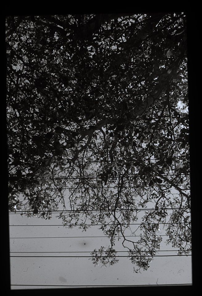 Gunter Christmann, SYDNEY - 28/80, 1974