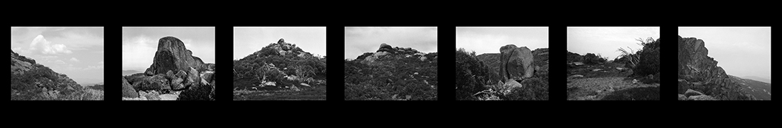 Amanda Williams, The Alpine Moth, 2021