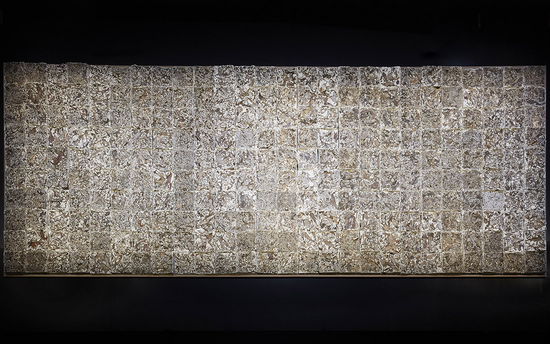 installation view: Yasmin Smith, Stars (Castle Hill Plantation 2021), 2021 - phase 1, in Eucalyptusdom, Powerhouse Museum, Sydney, 2021-2022 | | commissioned by Powerhouse Museum