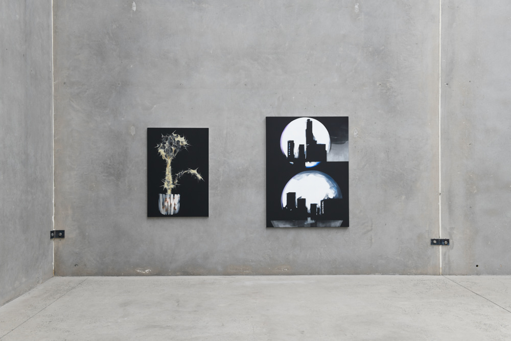 installation view showing works by Nigel Milsom: Explore Sydney Contemporary, at The Commercial, Sydney, 2021