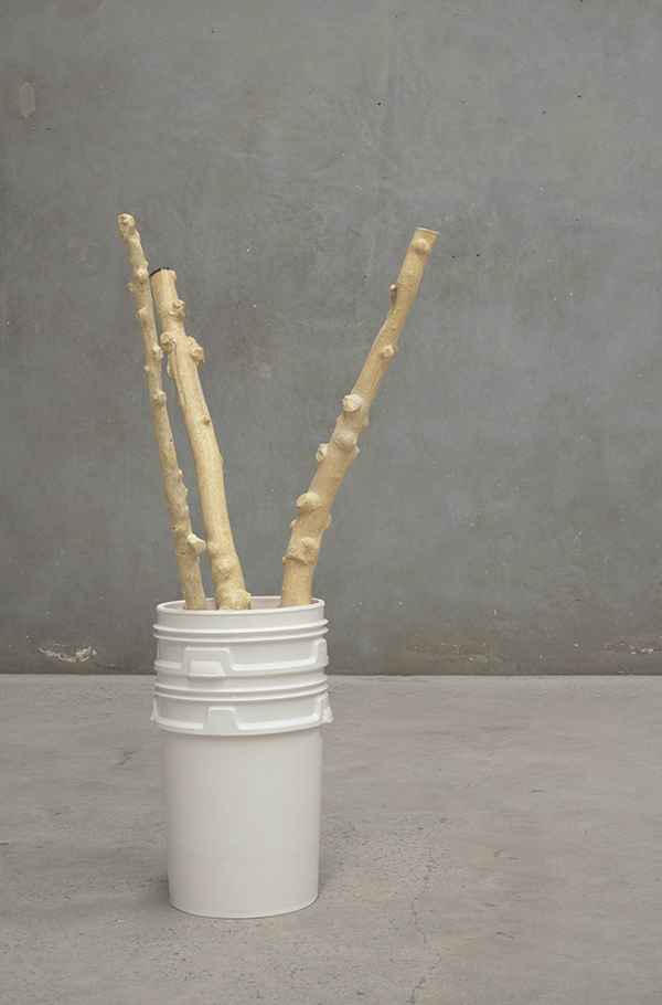 Yasmin Smith, Central Leader 1, 2017