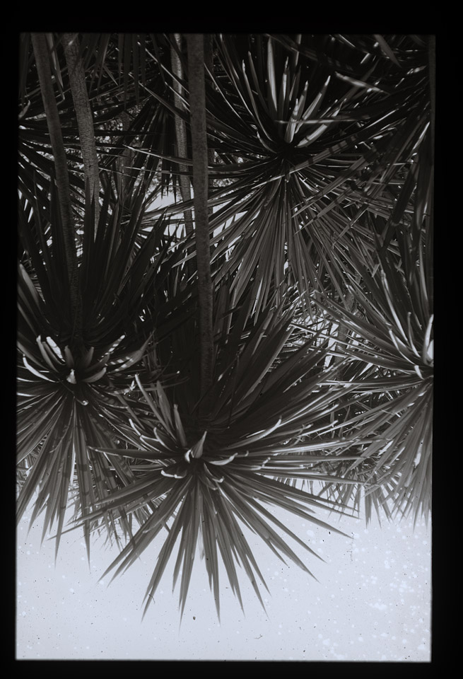 Gunter Christmann, SYDNEY - 58/80, 1974