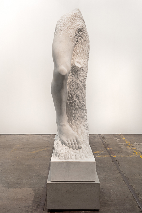 Stephen Ralph, A tree, and he shall stand up in it, 2019