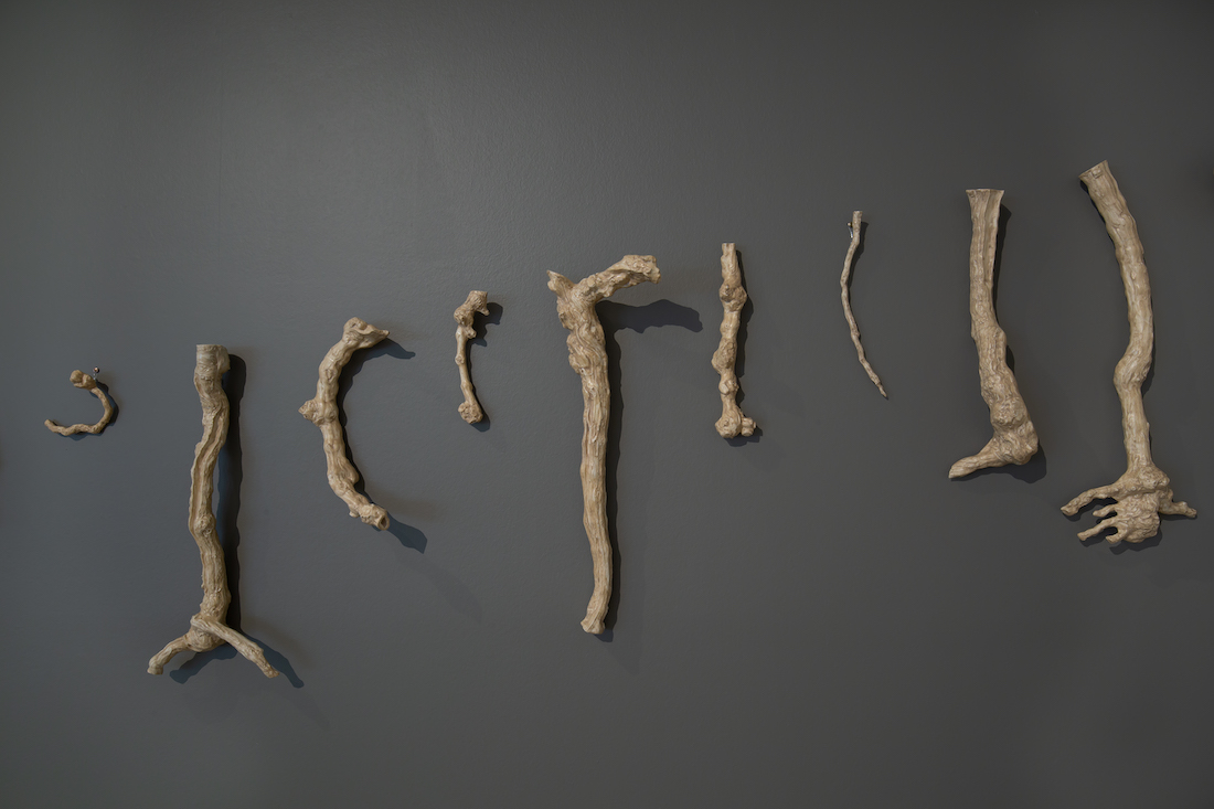 installation view: Yasmin Smith, Terroir, 2020, in TarraWarra Biennale 2021: Slow Moving Waters, TarraWarra Museum of Art, Tarrawarra