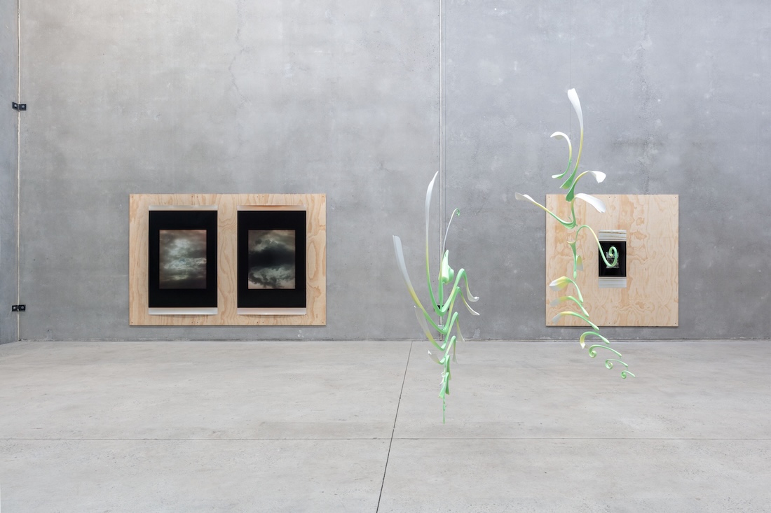 installation view: Alpha Tauri, at The Commercial, Sydney, 2025