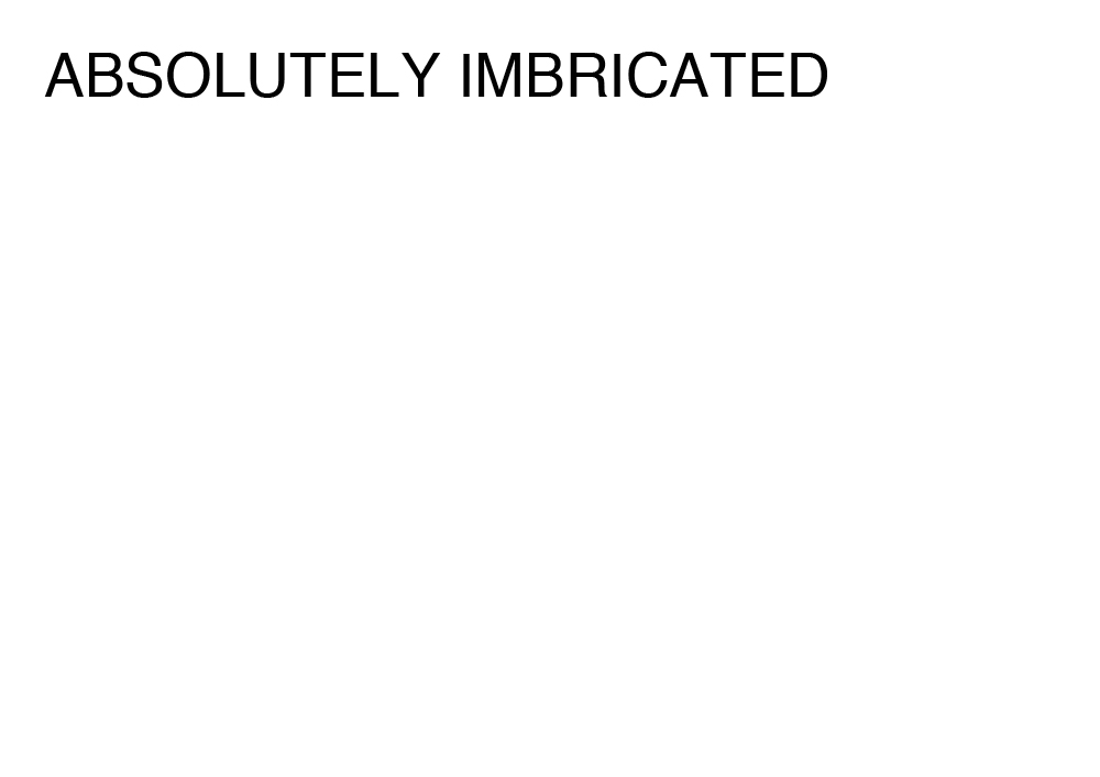 Agatha Gothe-Snape, ABSOLUTELY IMBRICATED, 2014