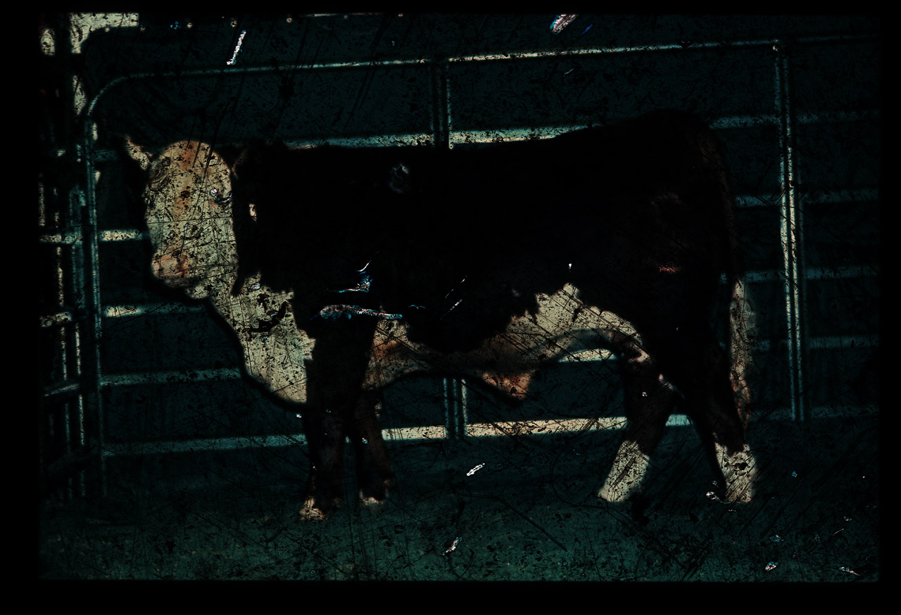 Gunter Christmann, EUREKA - 60/80, 1982