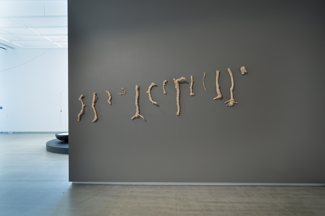 installation view: Yasmin Smith, Terroir, 2020, in TarraWarra Biennale 2021: Slow Moving Waters, TarraWarra Museum of Art, Tarrawarra