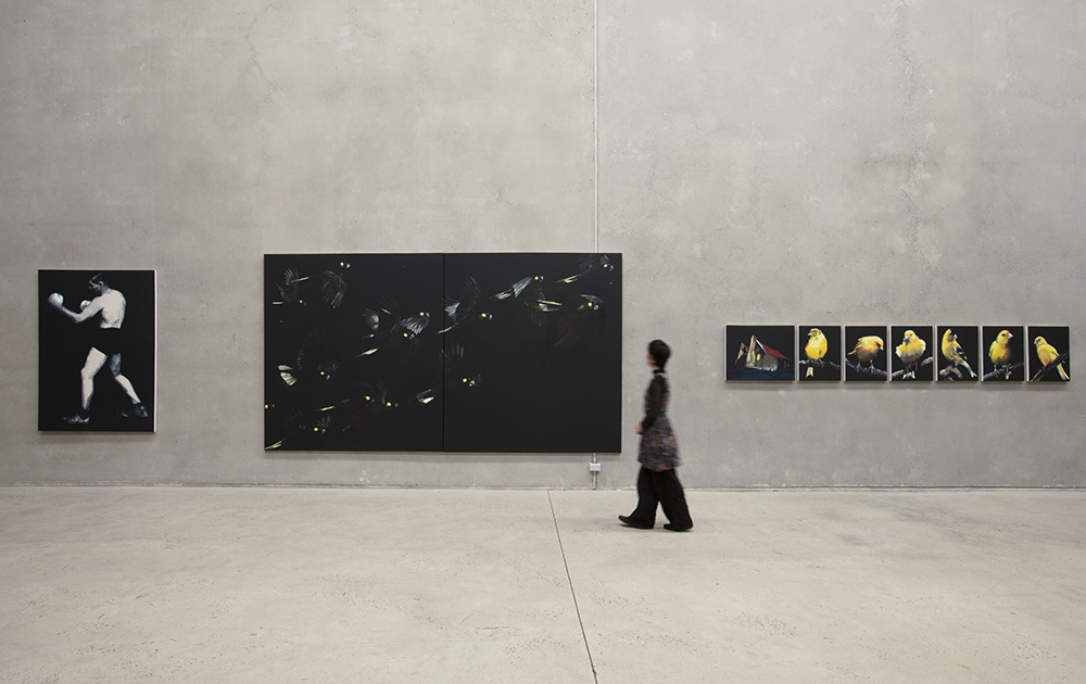 installation view: Nigel Milsom - Judo-House part 9 (birdland), at The Commercial, Sydney, 2021