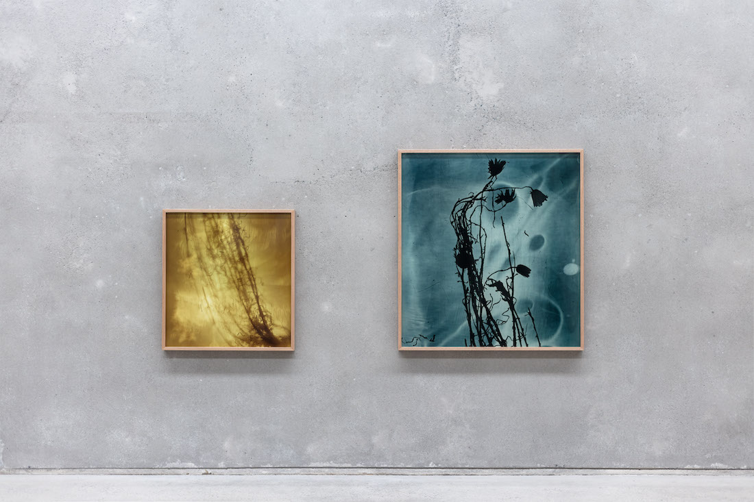 installation view: Amanda Williams — On the Action of the Rays of the Solar Spectrum, at The Commercial, Sydney, 2023