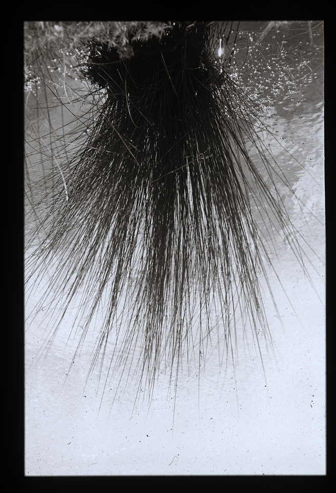 Gunter Christmann, SYDNEY - 80/80, 1974