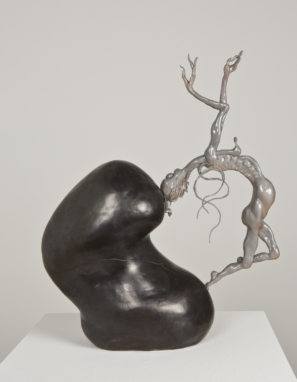 Tim Schultz, The Anti-Foetus, 2013
