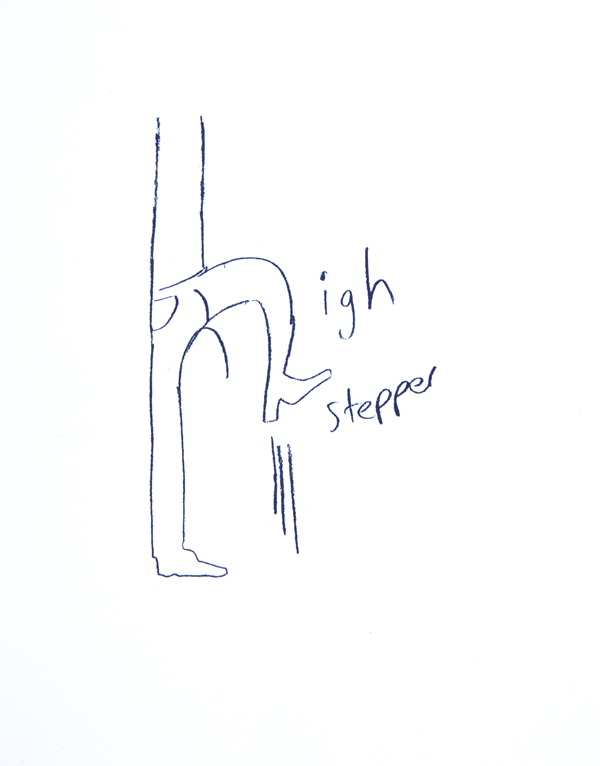 Mitch Cairns, High Stepper, 2011