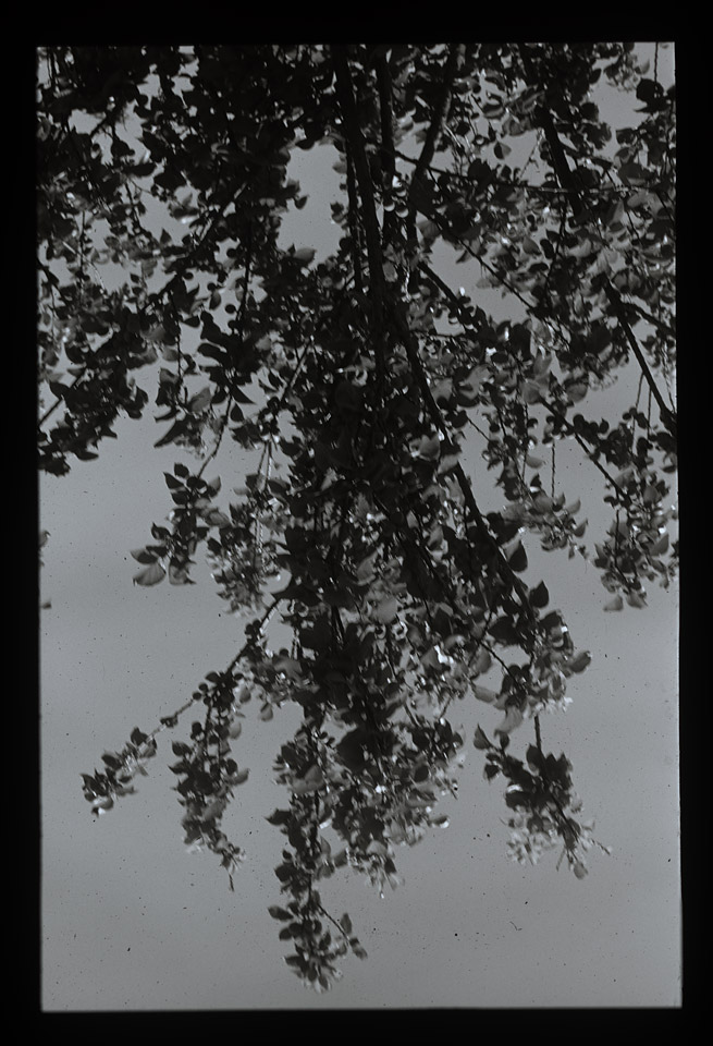 Gunter Christmann, SYDNEY - 18/80, 1974