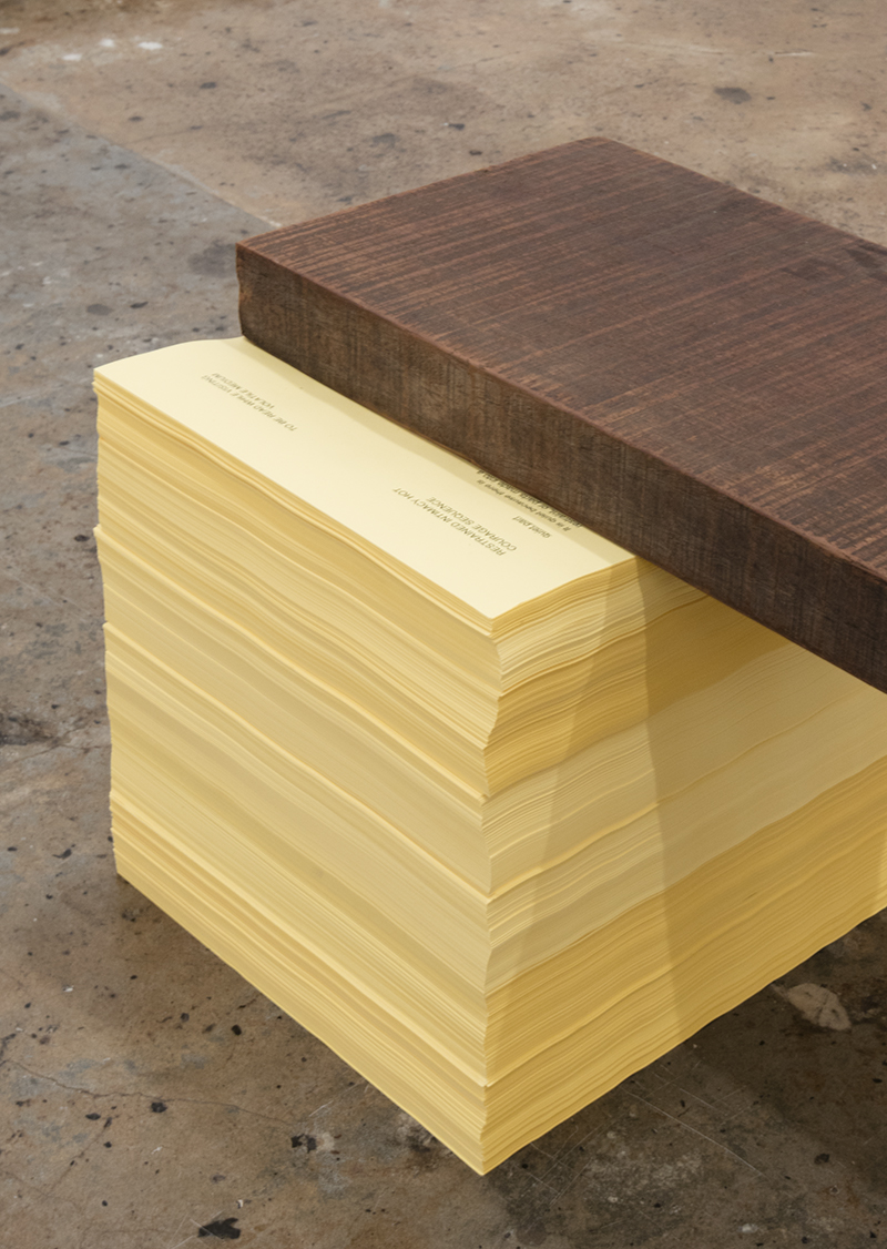 Agatha Gothe-Snape, Support, 2016