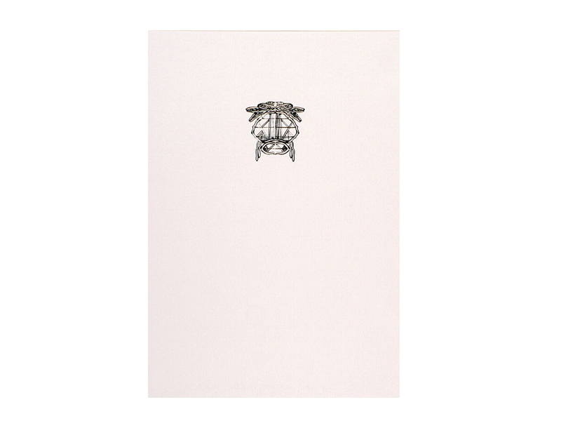 Diena Georgetti, A very common model, 1992