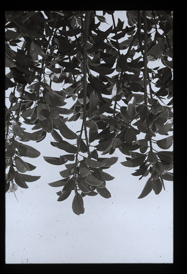 Gunter Christmann, SYDNEY - 30/80, 1974