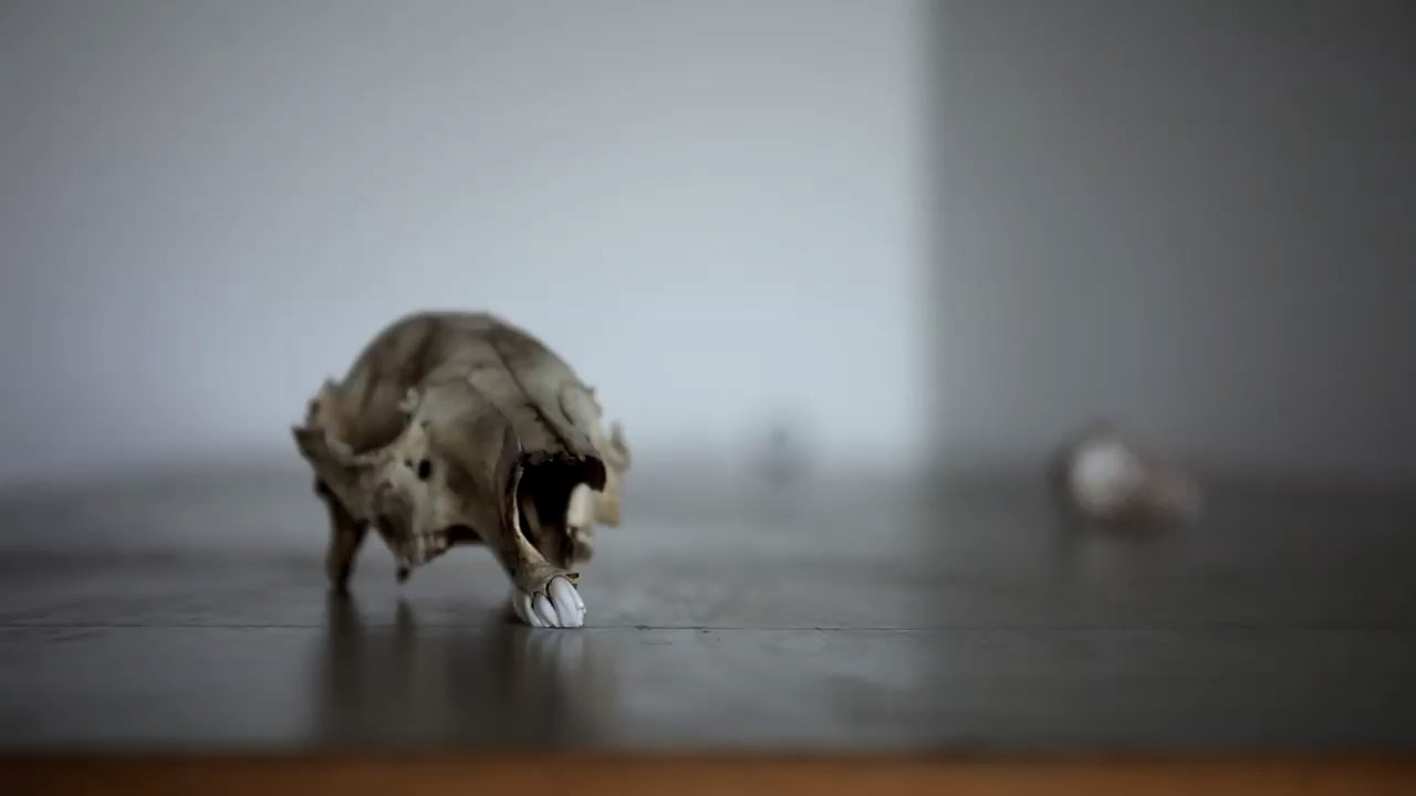 Jude Rae, SLV3, 2013