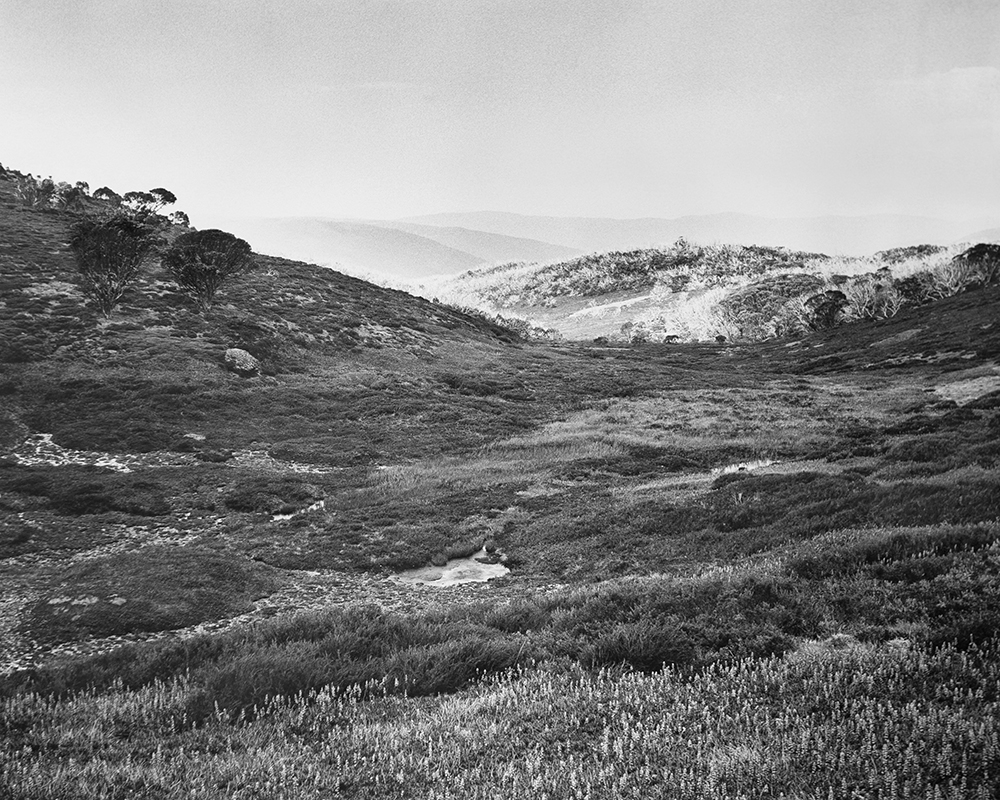 Amanda Williams, Bogong High Plains, Alpine National Park (4582/9), 2020