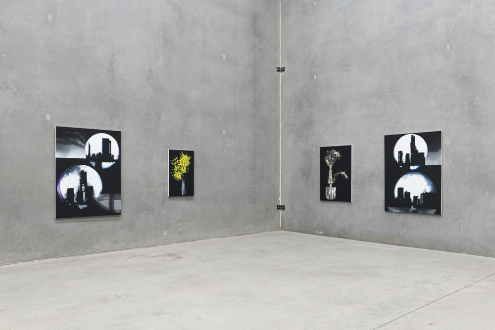 Explore Sydney Contemporary