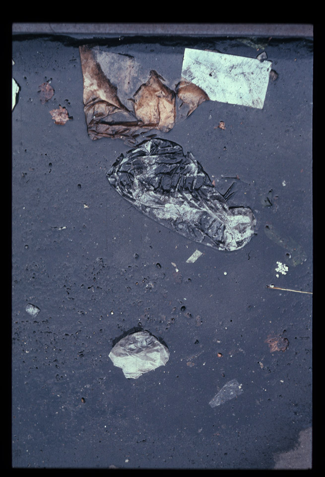 Gunter Christmann, NEW YORK - 31/80, 1978