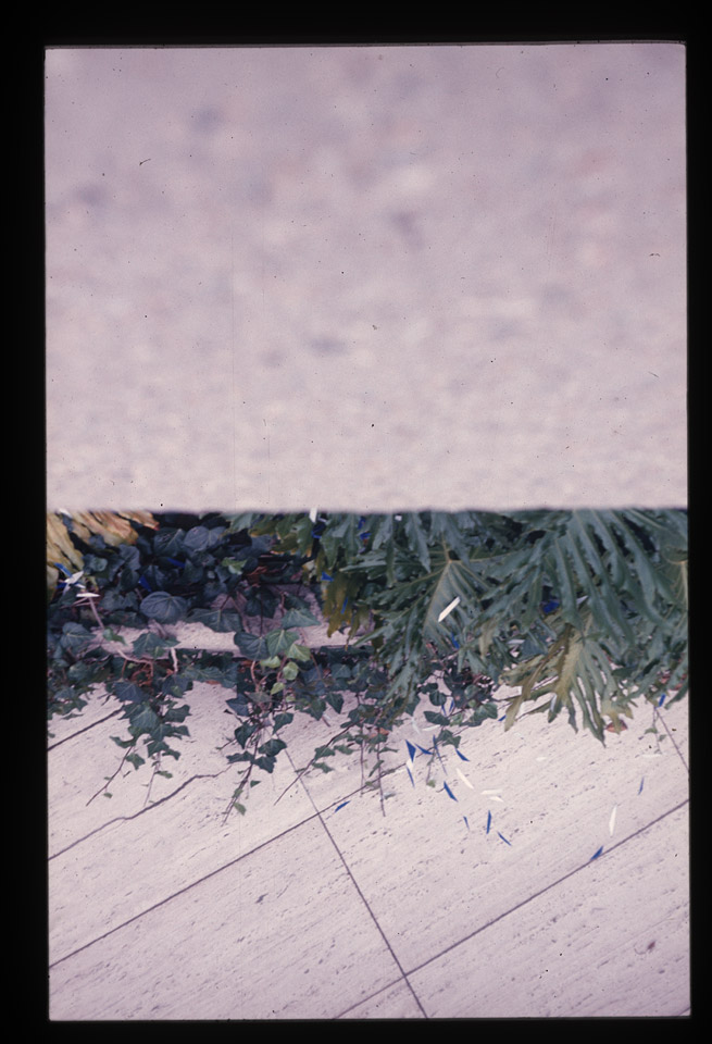 Gunter Christmann, 50/50 - 75/80, 1974