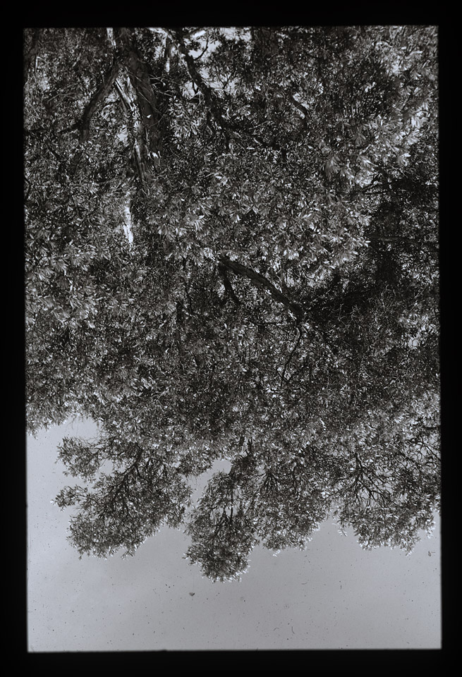 Gunter Christmann, SYDNEY - 44/80, 1974