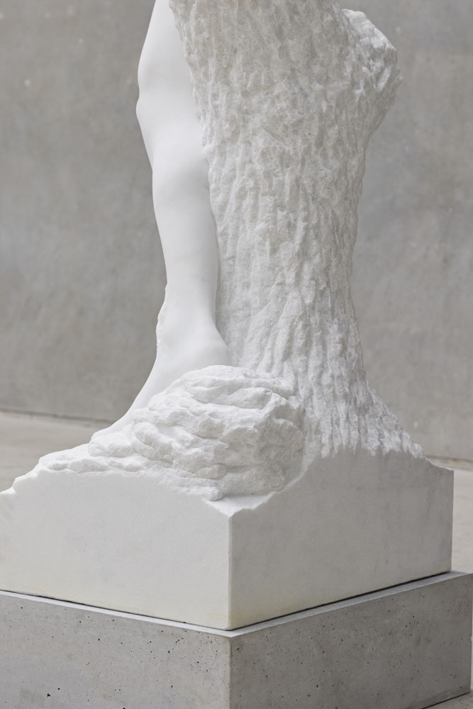 Stephen Ralph, More dust - back base angle view