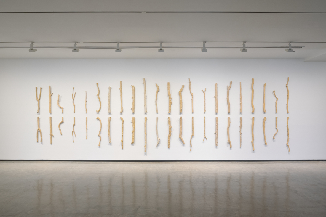 Yasmin Smith: Elemental Life