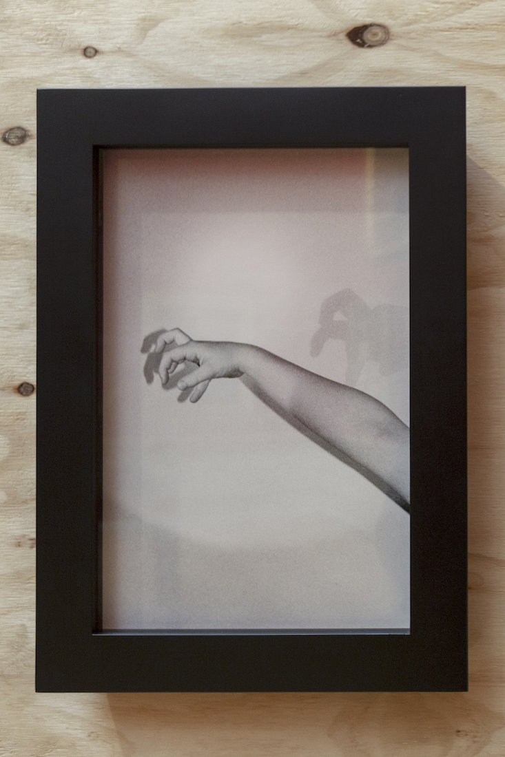 installation view: Amanda Williams, Or your shadow, rising to meet you, 2020, in Archie Plus, Art Gallery of New South Wales, Sydney