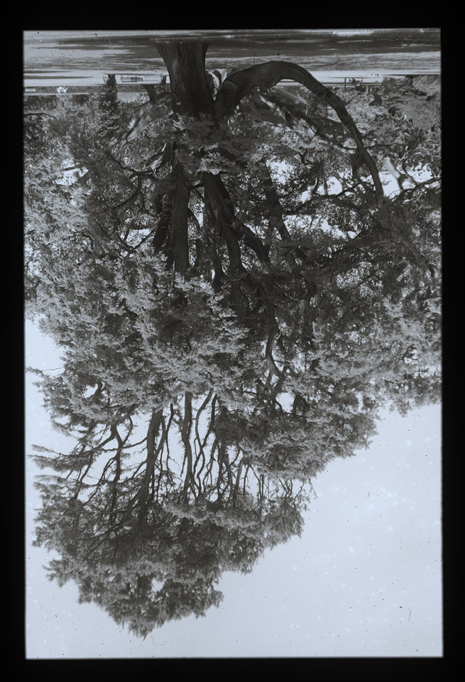 Gunter Christmann, SYDNEY - 8/80, 1974