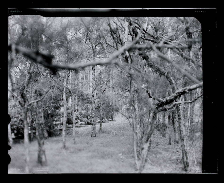 Amanda Williams, Max Dupain Linhof Technika 1, 2023