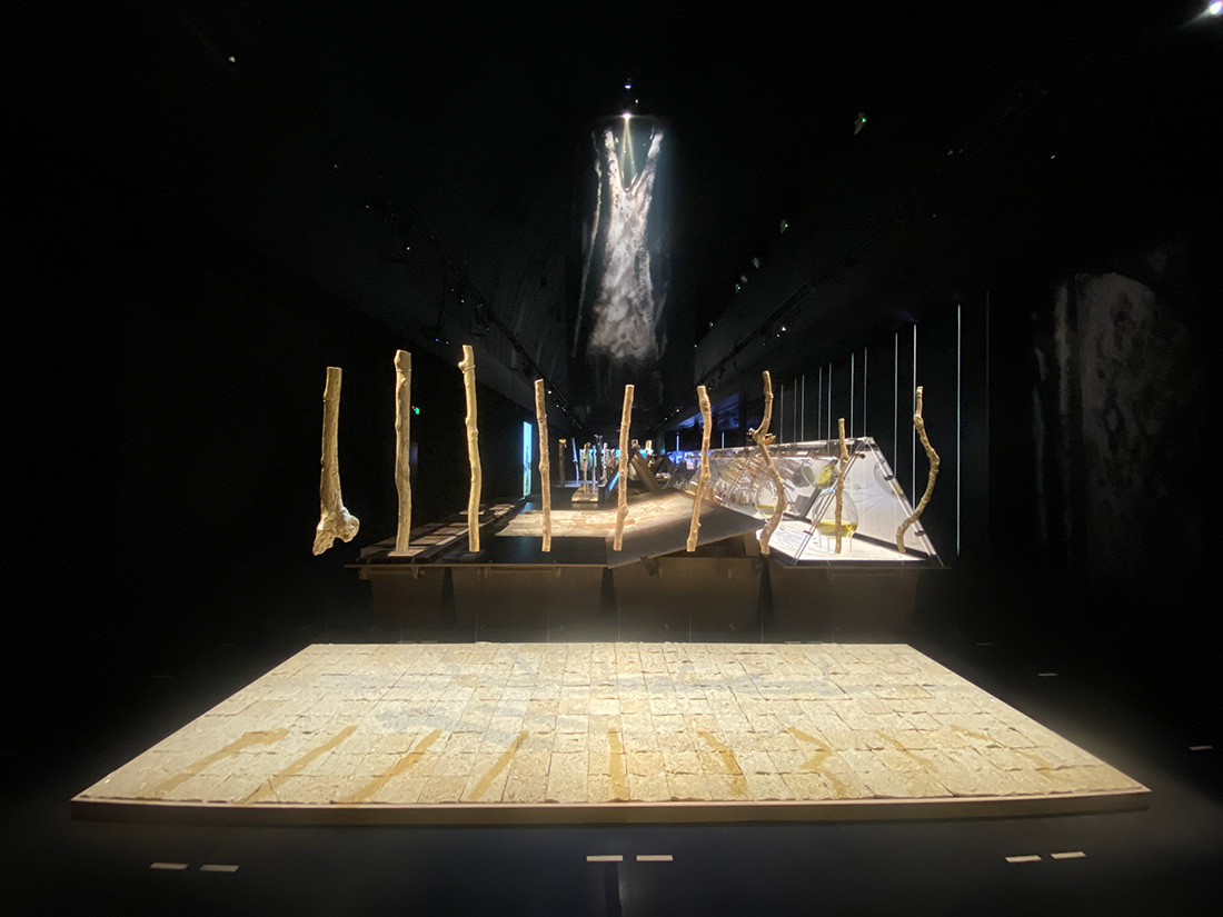 installation view: Yasmin Smith, Stars (Castle Hill Plantation 2021), 2021 - phase 2, in Eucalyptusdom, Powerhouse Museum, Sydney, 2021-2022 | | commissioned by Powerhouse Museum