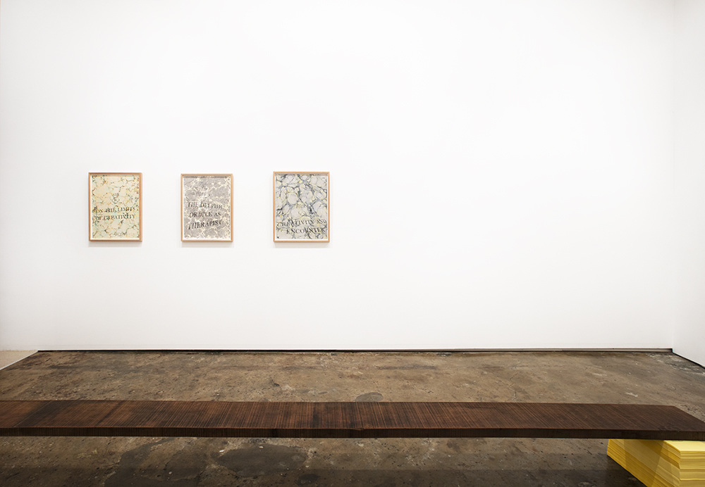 Agatha Gothe-Snape: Volatile Medium