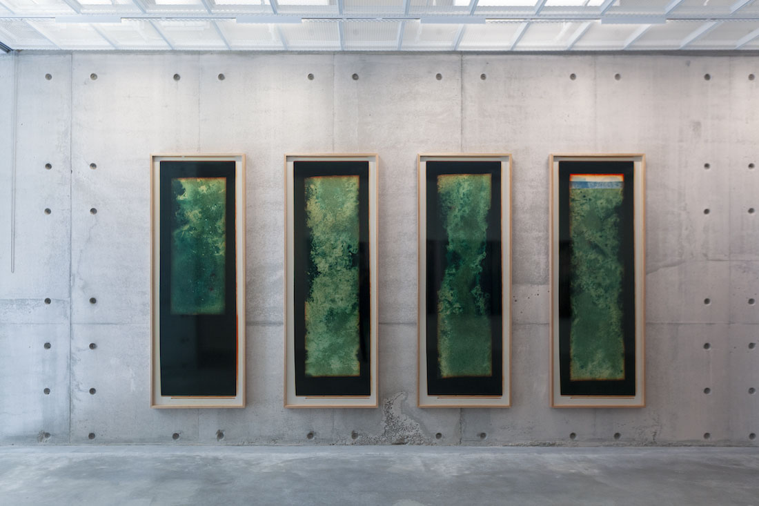 Amanda Williams, Chemigram Castle Hill experimental plantation (version 2), 2023