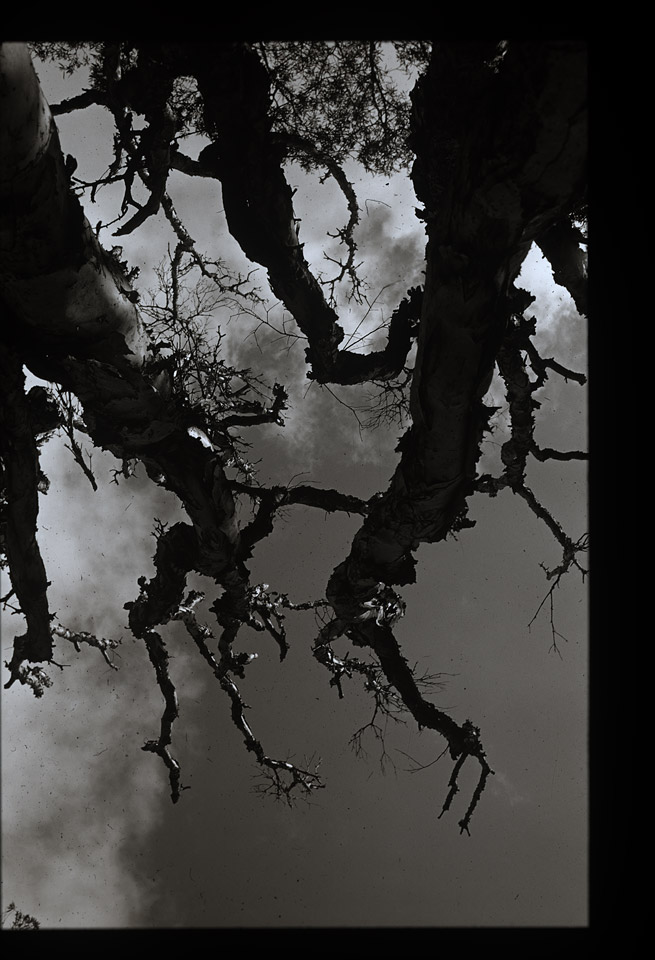 Gunter Christmann, SYDNEY - 2/80, 1974