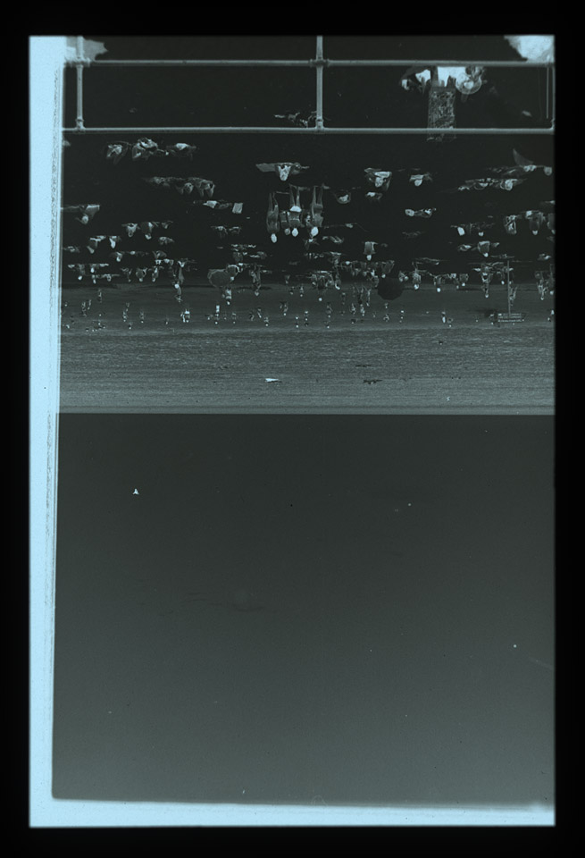 Gunter Christmann, 50/50 - 20/80, 1974